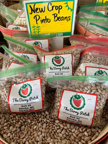 BP new crop pinto beans