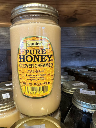 Gunter's Pure Honey | Clover Creamed - 16oz