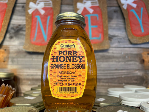 Gunter's Pure Honey | Orange Blossom - 16oz